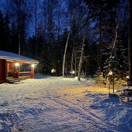 Holiday home Saeiloeksen Lomahuvilat Luhanka